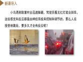 【核心素养】浙教版科学八年级上册 3.3 神经调节（第1课时）（教学课件+教学设计+同步练习）