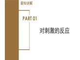 【核心素养】浙教版科学八年级上册 3.3 神经调节（第1课时）（教学课件+教学设计+同步练习）