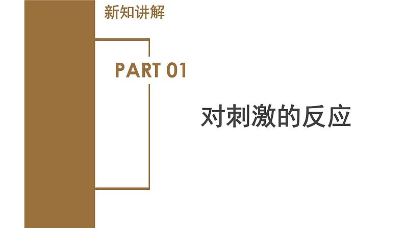 【核心素养】浙教版科学八年级上册 3.3 神经调节（第1课时）（教学课件+教学设计+同步练习）05