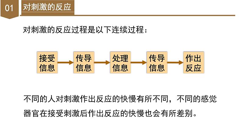 【核心素养】浙教版科学八年级上册 3.3 神经调节（第1课时）（教学课件+教学设计+同步练习）08