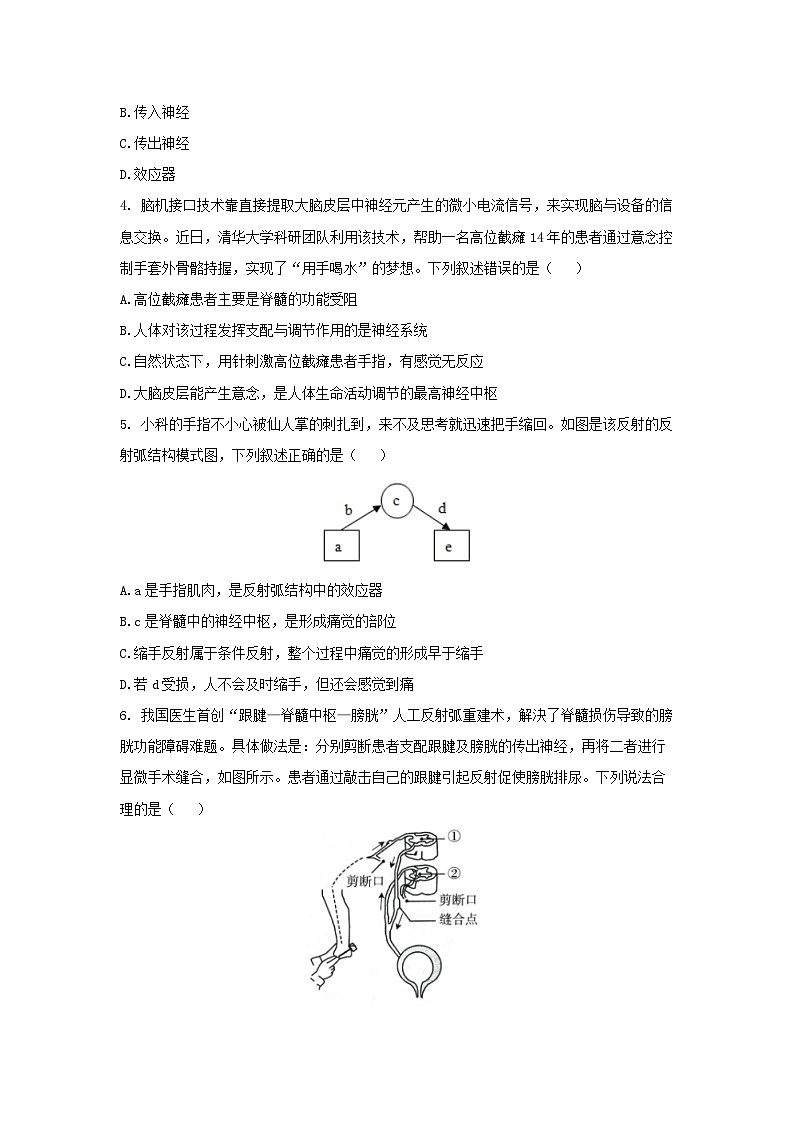 【核心素养】浙教版科学八年级上册 3.3 神经调节（第3课时）（分层作业）【原卷版】第2页