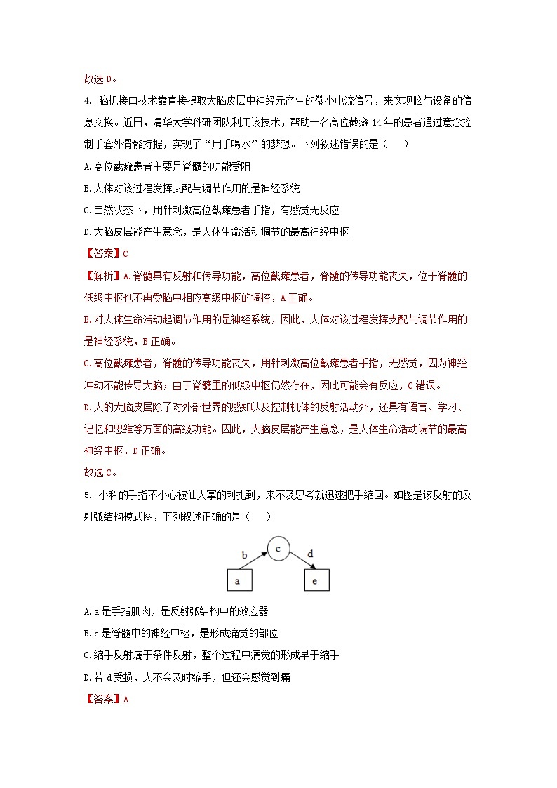 【核心素养】浙教版科学八年级上册 3.3 神经调节（第3课时）（分层作业）【解析版】第3页