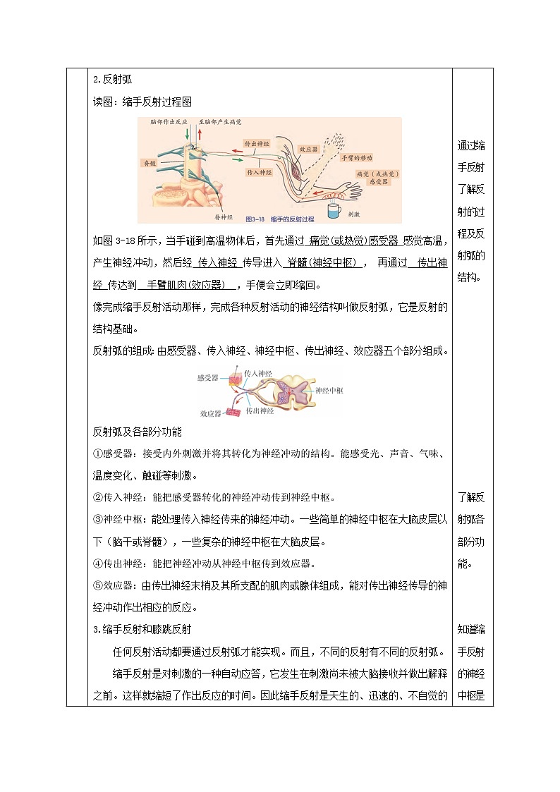 【核心素养】浙教版科学八年级上册 3.3 神经调节（第3课时）（教学设计）第3页