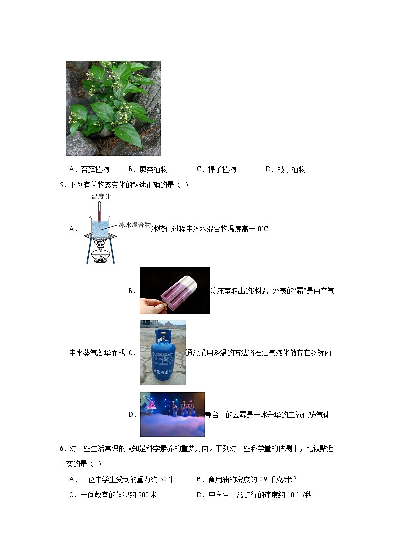 2024年浙江省杭州市钱塘区中考一模科学试题（附答案解析）02