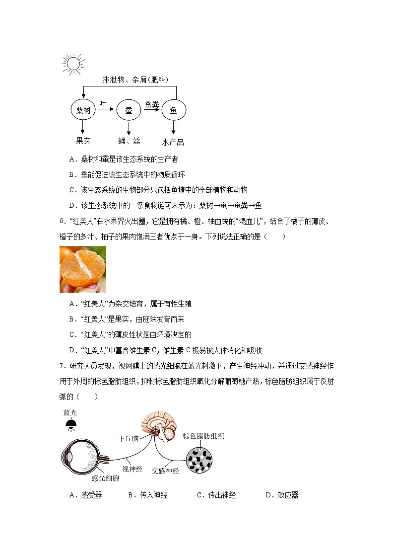 2024年浙江省宁波市海曙外国语等六校中考模拟科学试卷（三）（附答案解析）第2页