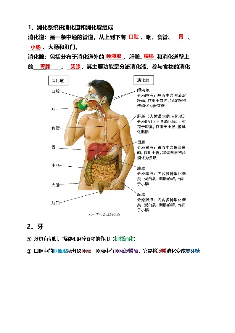 浙教版 科学 九上 第四单元 知识梳理第3页