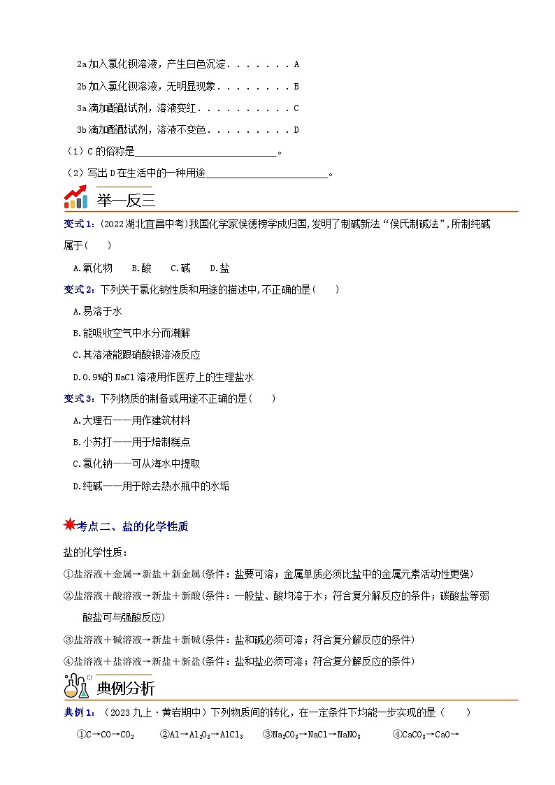 九上第一章 第六节  几种重要的盐 举一反三练（含解析）02
