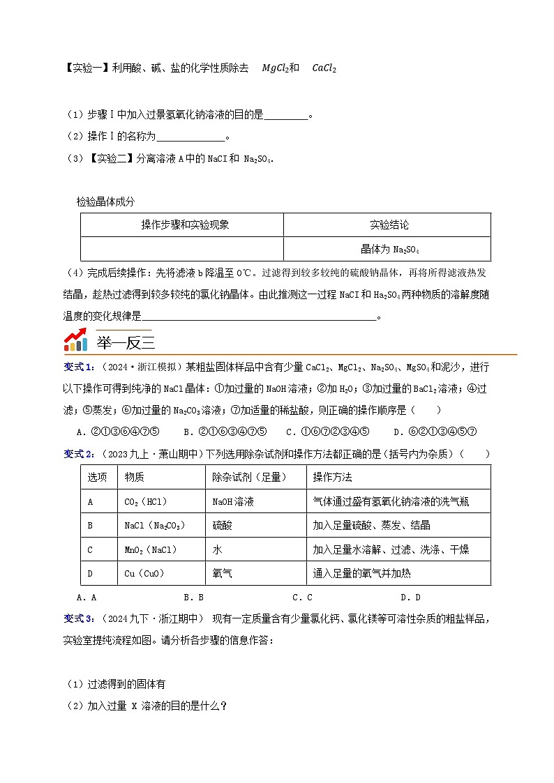九上第1章 物质及其变化 专题2 物质的除杂与分离 举一反三（含解析）02