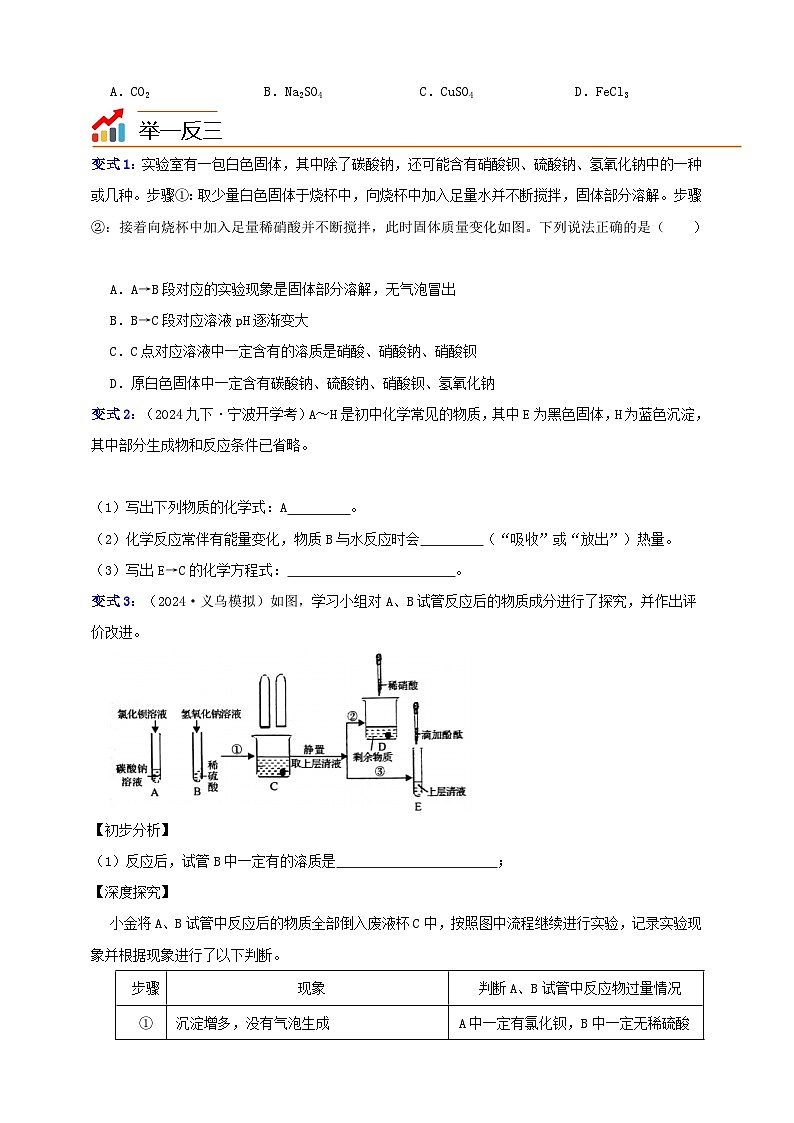 九上第1章 物质及其变化 专题4 混合物的推断 举一反三（含解析）03