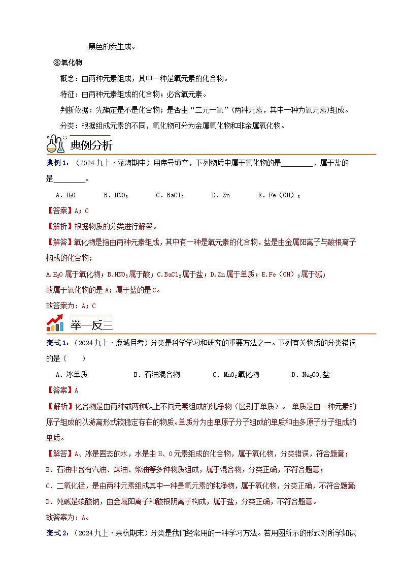 九上第二章 第四节  物质的分类 举一反三练（含解析）02