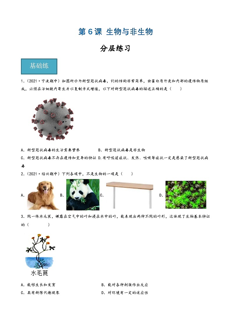 浙教版七年级科学上册同步精品课堂第06讲《生物与非生物》(分层练习)(原卷版+解析)01