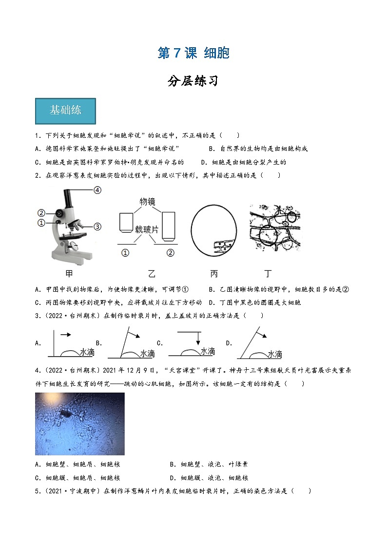 浙教版七年级科学上册同步精品课堂第07讲《细胞》(分层练习)(原卷版+解析)01