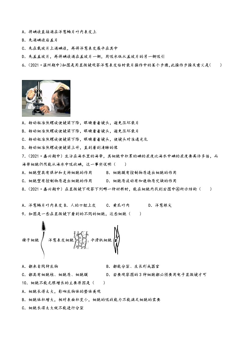 浙教版七年级科学上册同步精品课堂第07讲《细胞》(分层练习)(原卷版+解析)02