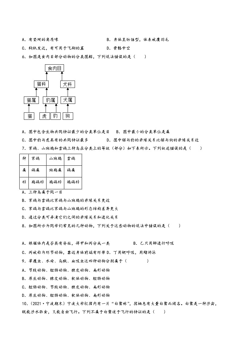 浙教版七年级科学上册同步精品课堂第09讲《常见的动物》(分层练习)(原卷版+解析)02