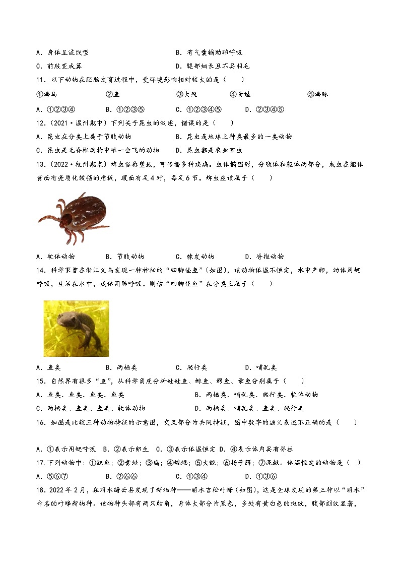 浙教版七年级科学上册同步精品课堂第09讲《常见的动物》(分层练习)(原卷版+解析)03