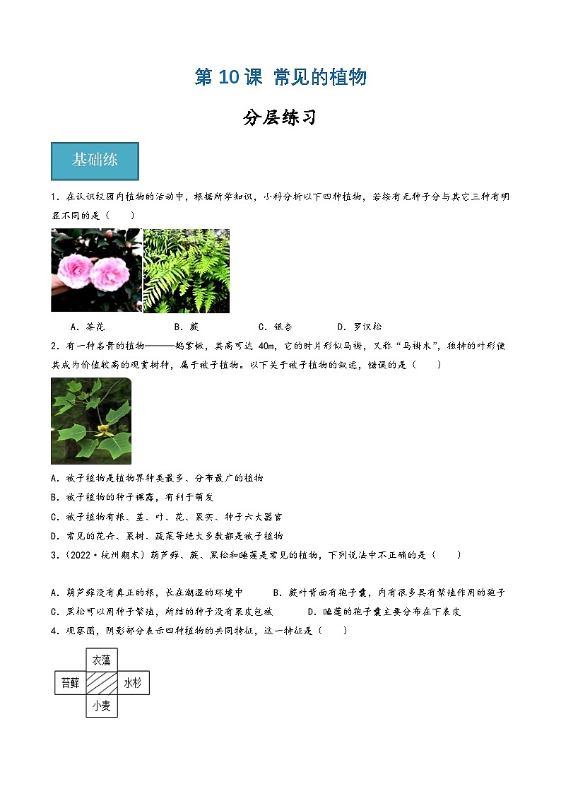 浙教版七年级科学上册同步精品课堂第10讲《常见的植物》(分层练习)(原卷版+解析)01