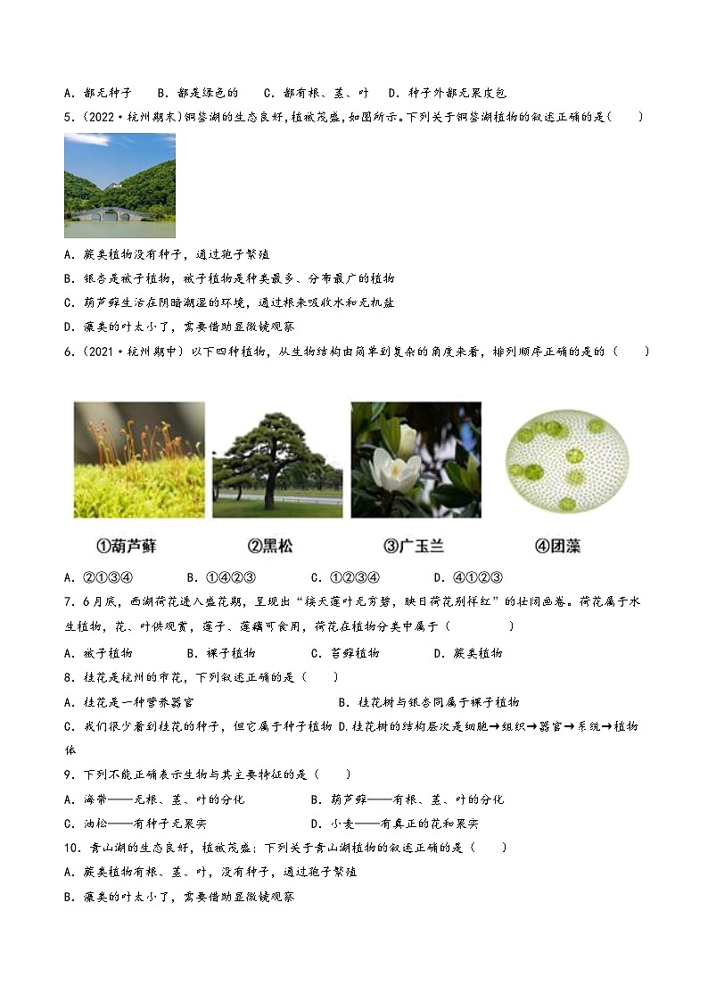 浙教版七年级科学上册同步精品课堂第10讲《常见的植物》(分层练习)(原卷版+解析)02