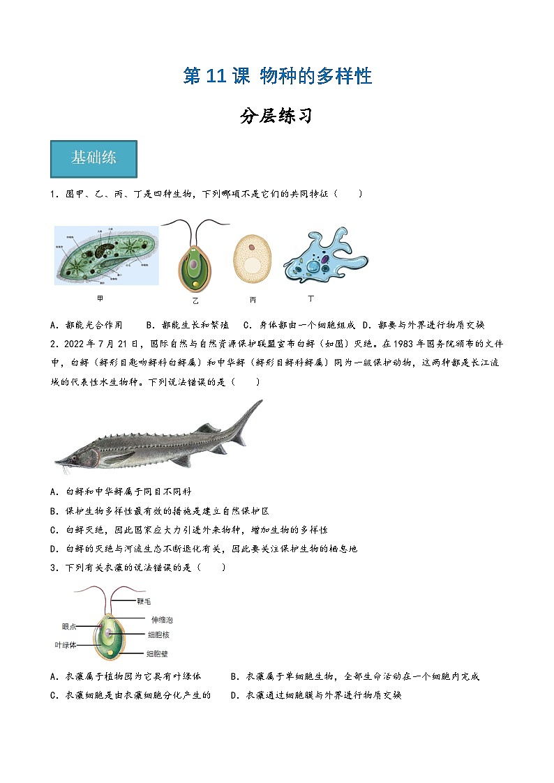 浙教版七年级科学上册同步精品课堂第11讲《物种的多样性》(分层练习)(原卷版+解析)01