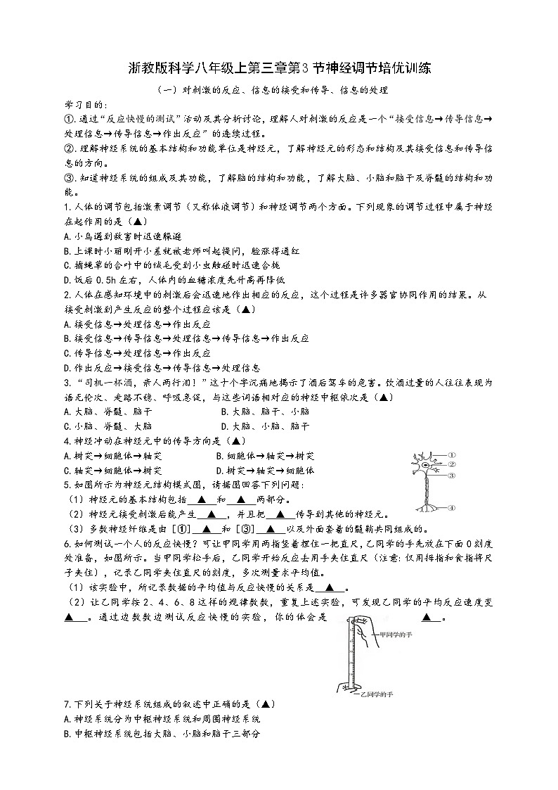 浙教版八年级科学上册课后培优练第三章《生命活动的调节》第三节神经调节培优训练(原卷版+解析)01
