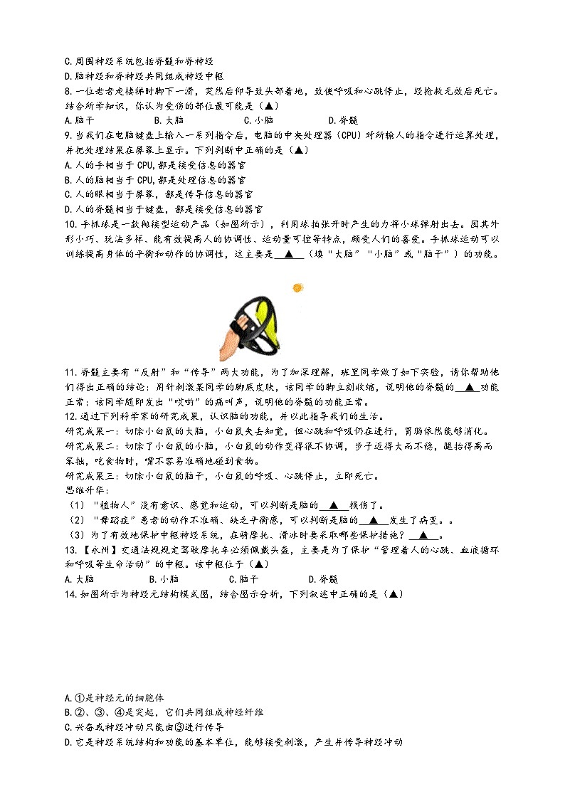 浙教版八年级科学上册课后培优练第三章《生命活动的调节》第三节神经调节培优训练(原卷版+解析)02
