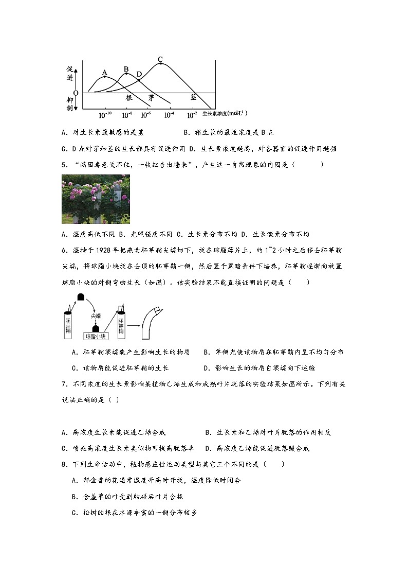 浙教版八年级科学上册讲练课堂3.1植物生命活动的调节(练习)(原卷版+解析)02