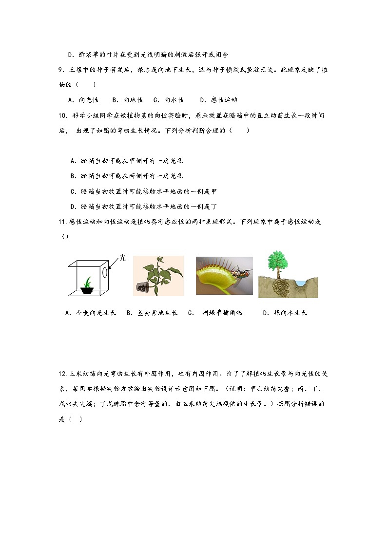 浙教版八年级科学上册讲练课堂3.1植物生命活动的调节(练习)(原卷版+解析)03