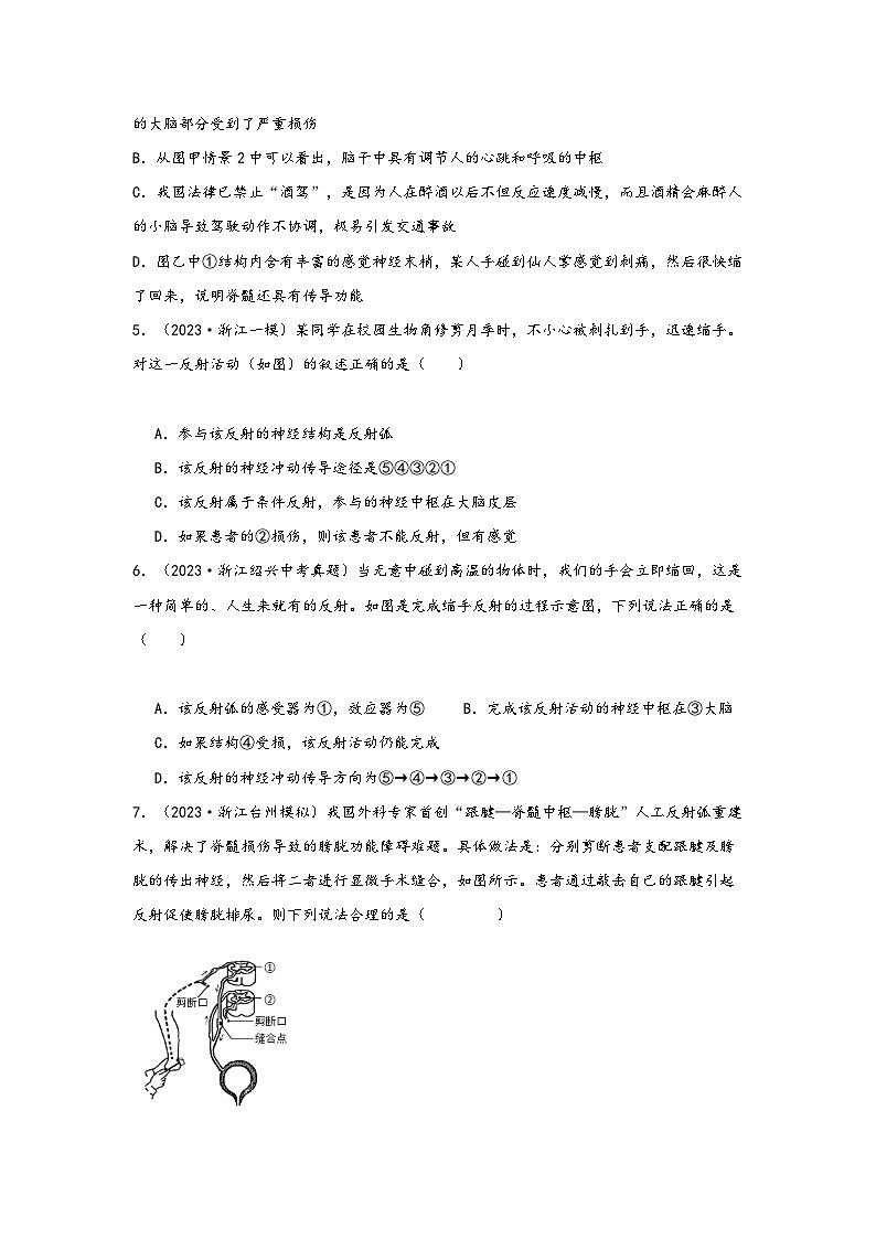 浙教版八年级科学上册讲练课堂3.3神经调节(练习)(原卷版+解析)第2页
