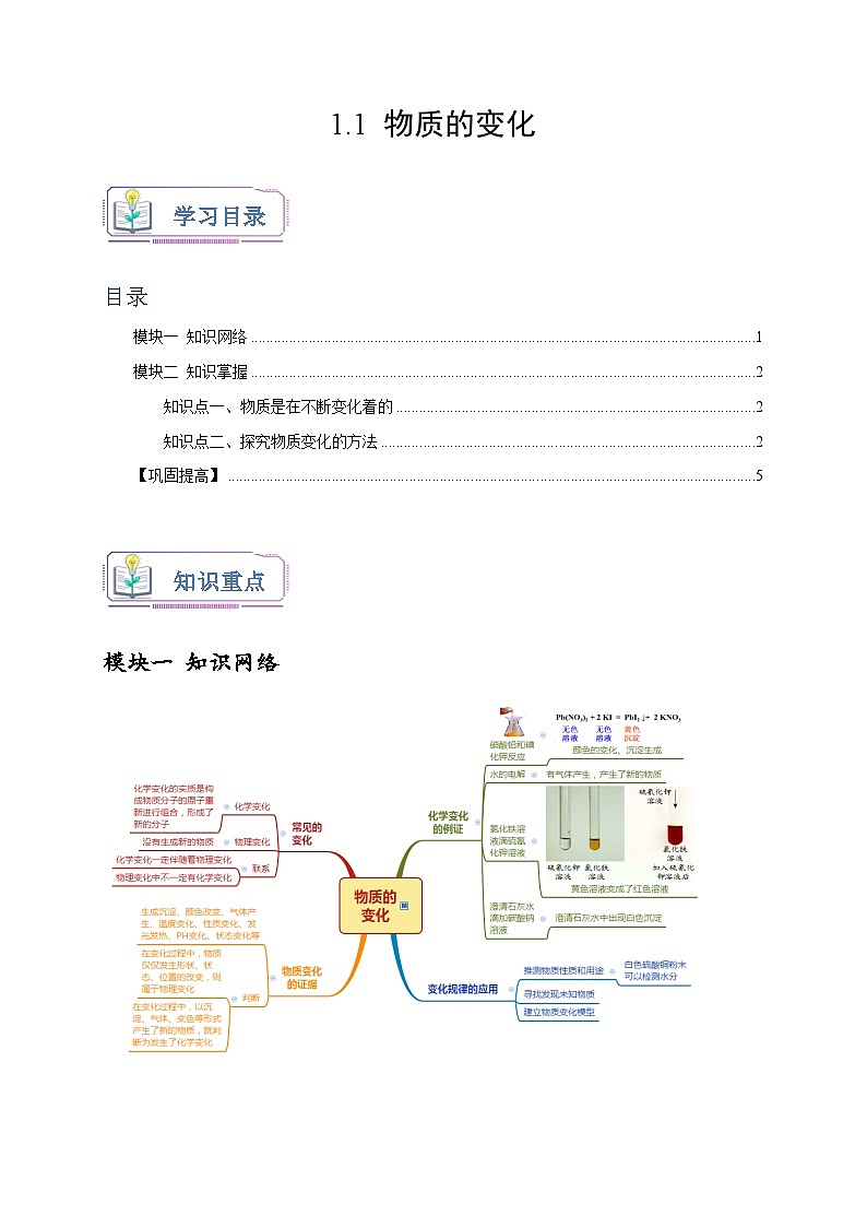 浙教版九年级科学上册讲练测1.1物质的变化(原卷版+解析)01