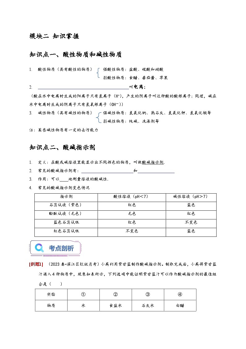 浙教版九年级科学上册讲练测1.2物质的酸碱性(原卷版+解析)02
