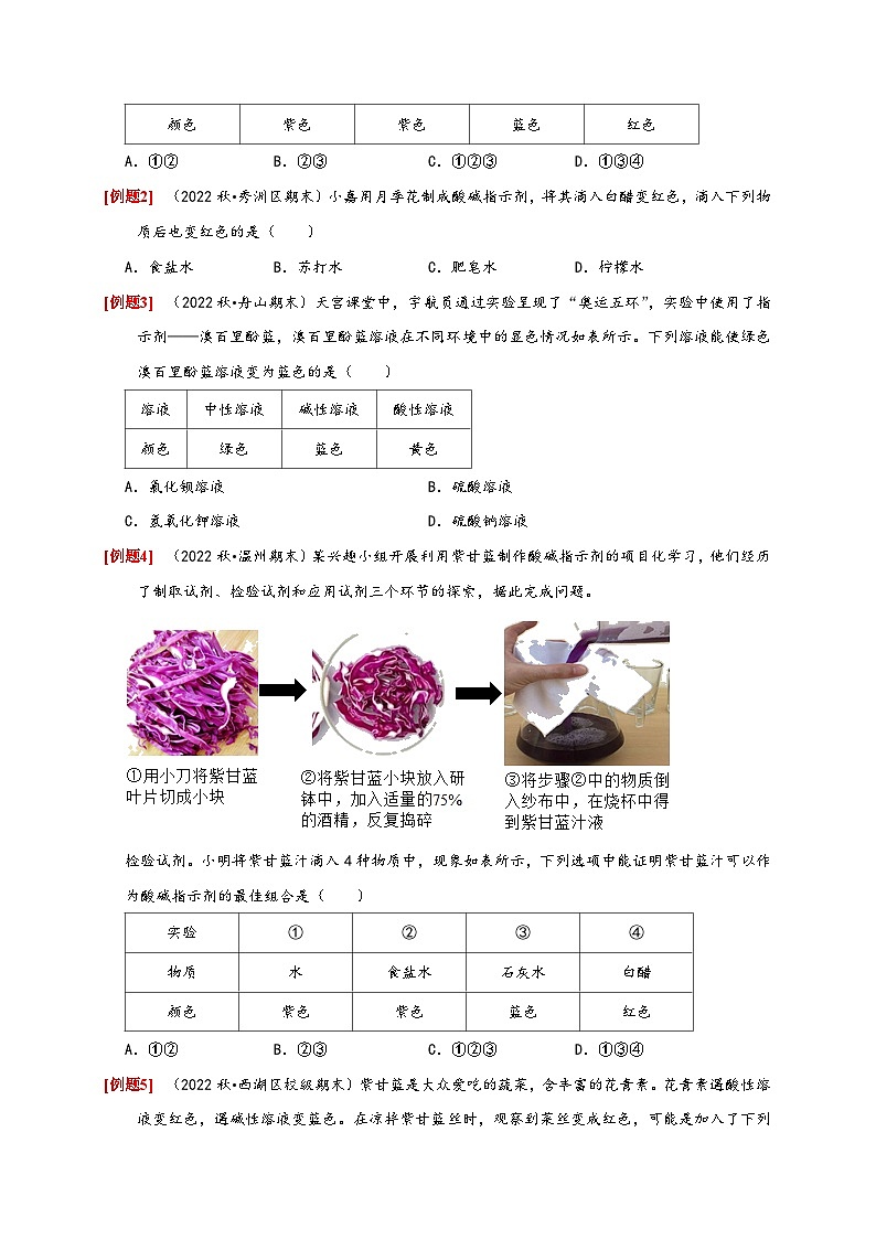 浙教版九年级科学上册讲练测1.2物质的酸碱性(原卷版+解析)03