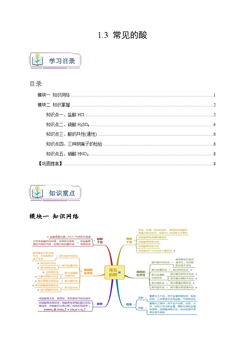 浙教版九年级科学上册讲练测1.3常见的酸(原卷版+解析)01