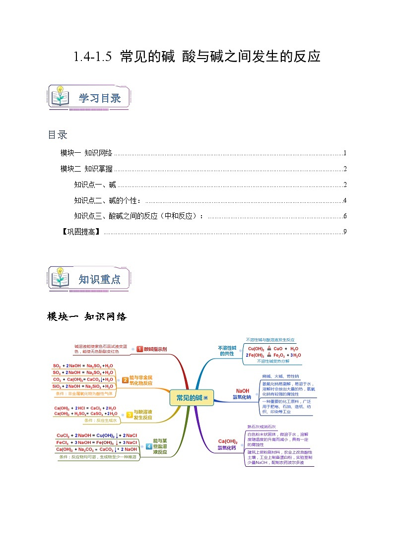 浙教版九年级科学上册讲练测1.4-1.5常见的碱酸与碱之间发生的反应(原卷版+解析)01
