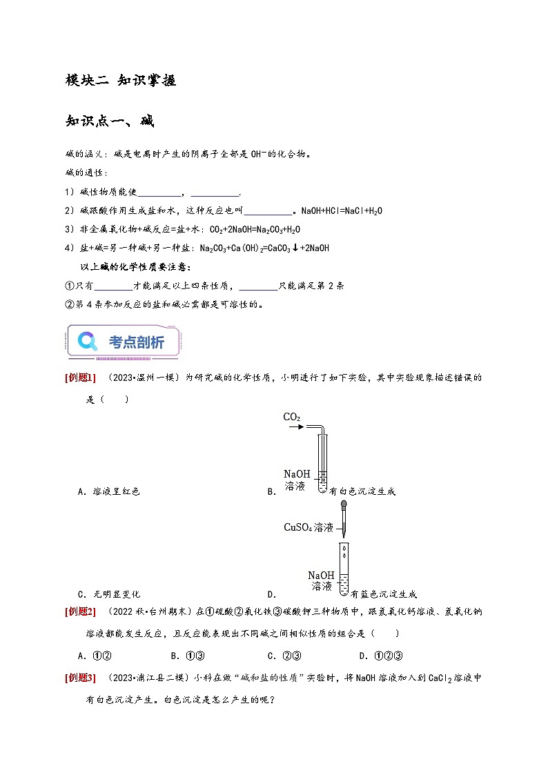 浙教版九年级科学上册讲练测1.4-1.5常见的碱酸与碱之间发生的反应(原卷版+解析)02