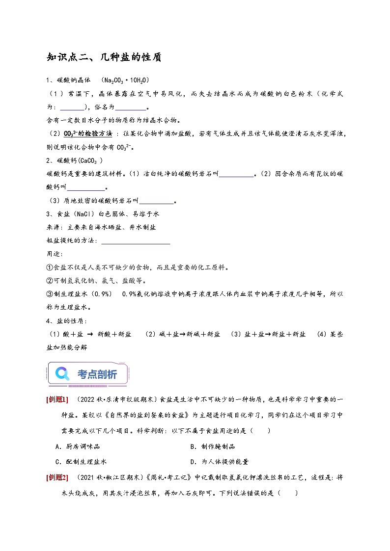 浙教版九年级科学上册讲练测1.6几种重要的盐(原卷版+解析)02