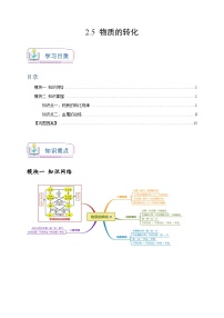 浙教版（2024）九年级上册第2章 物质转化与材料利用第5节 物质的转化当堂达标检测题