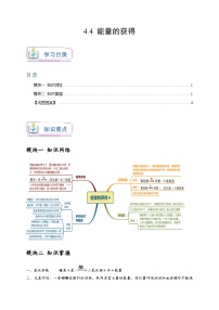 初中科学浙教版（2024）九年级上册第4节 能量的获得当堂检测题