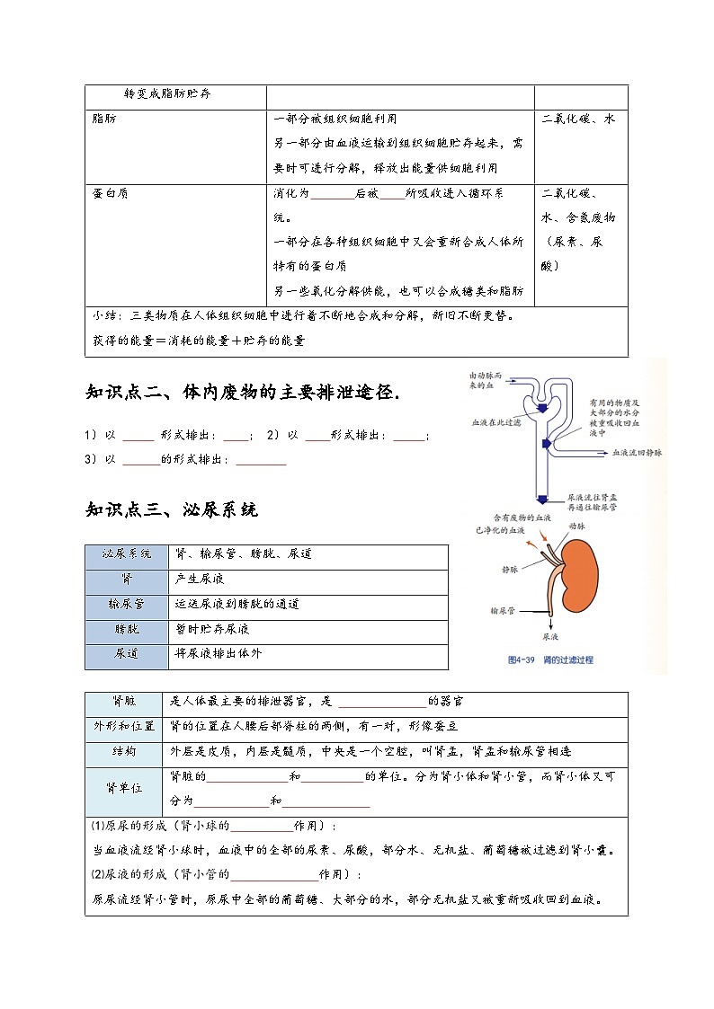 浙教版九年级科学上册讲练测4.5体内物质的动态平衡(原卷版+解析)03