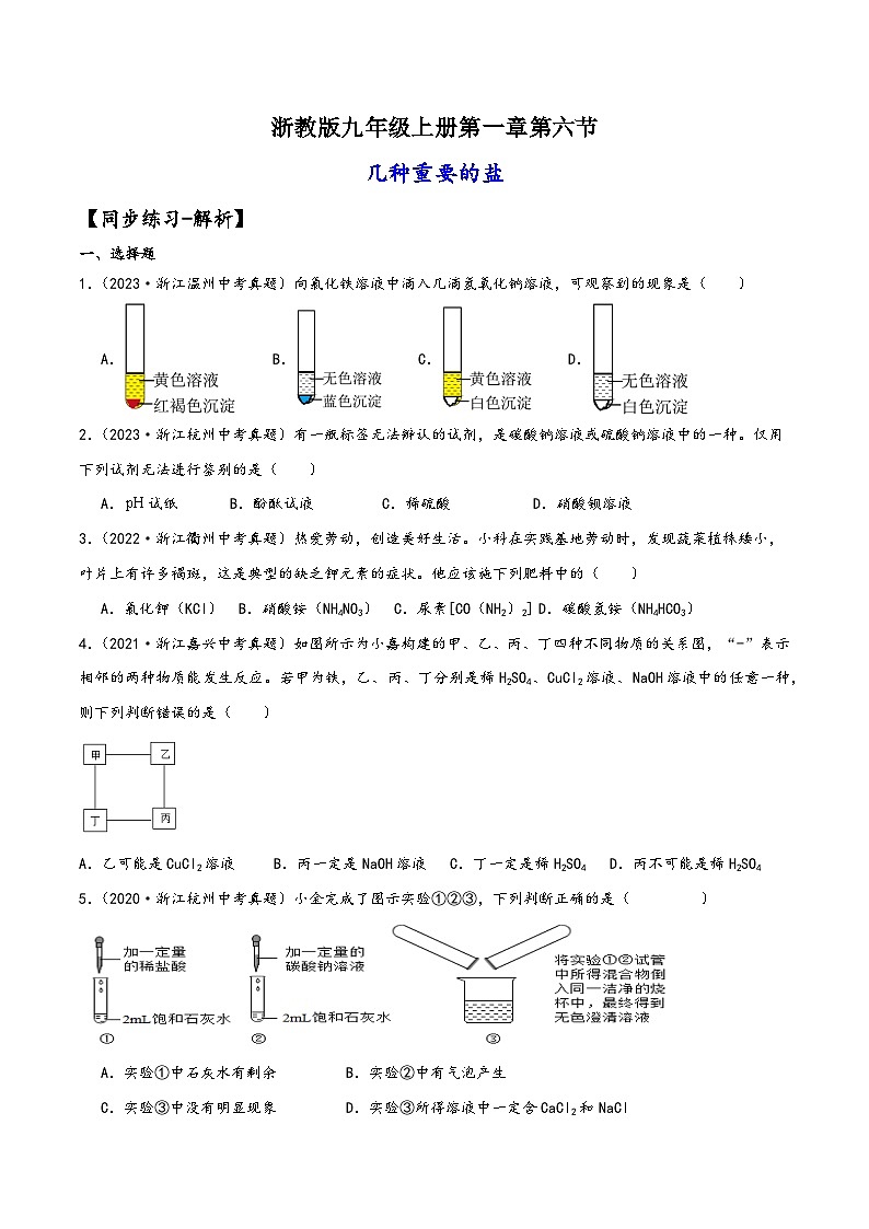 浙教版九年级科学上册讲练课堂1.6几种重要的盐(练习)(原卷版+解析)01