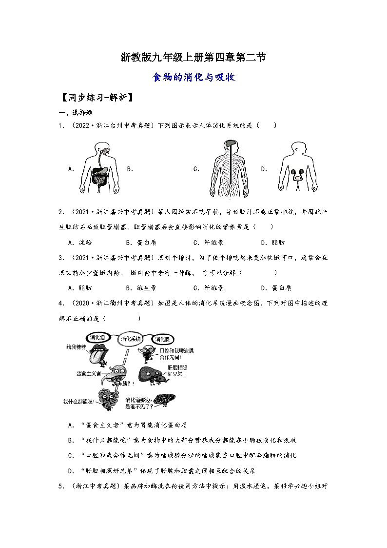 浙教版九年级科学上册讲练课堂4.2食物的消化与吸收(练习)(原卷版+解析)01