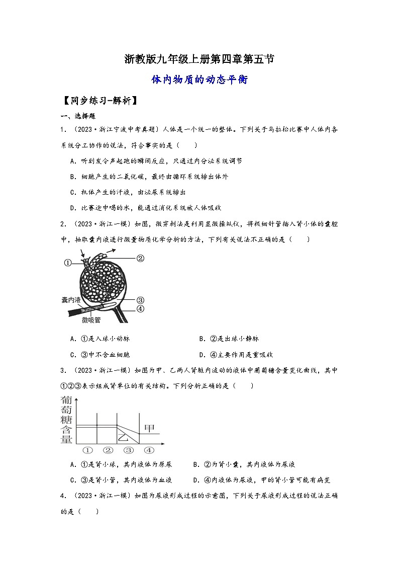 浙教版九年级科学上册讲练课堂4.5体内物质的动态平衡(练习)(原卷版+解析)01