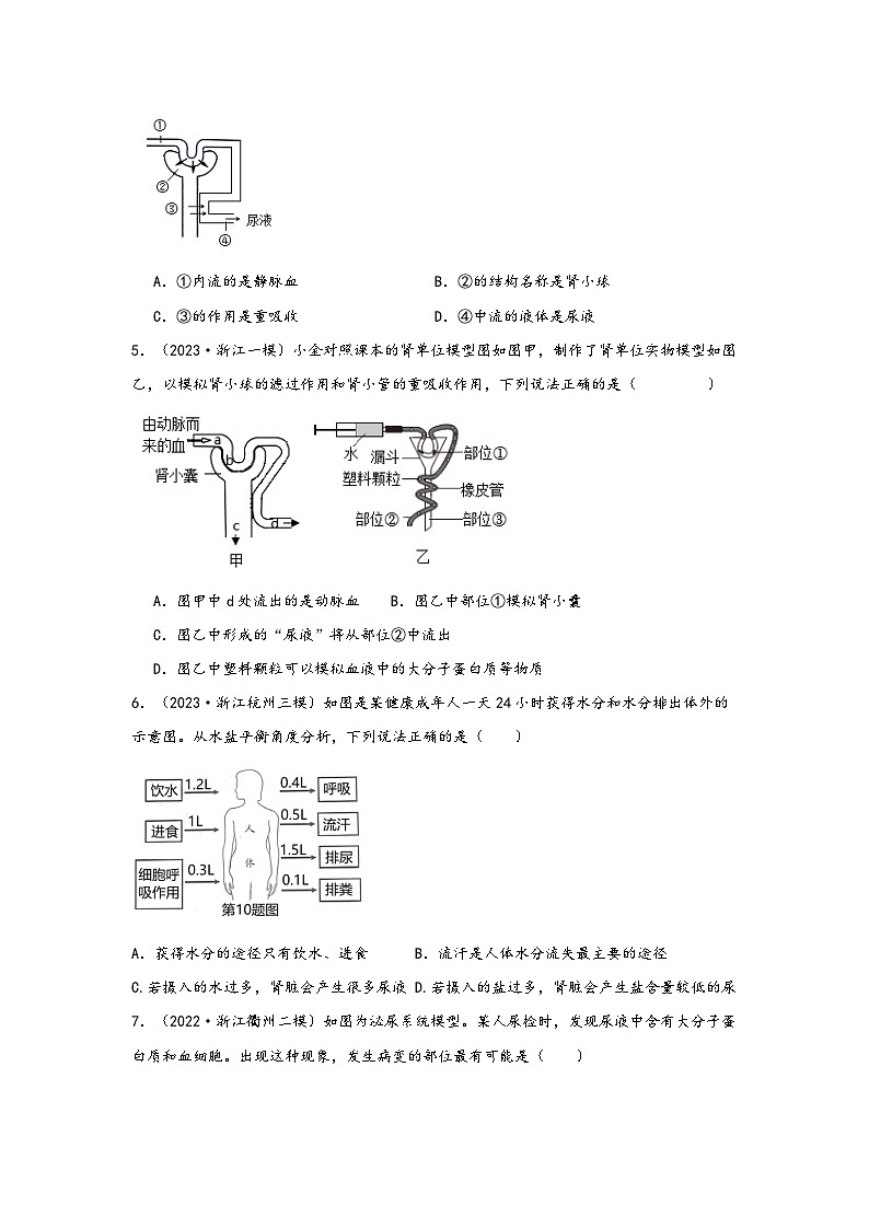 浙教版九年级科学上册讲练课堂4.5体内物质的动态平衡(练习)(原卷版+解析)02