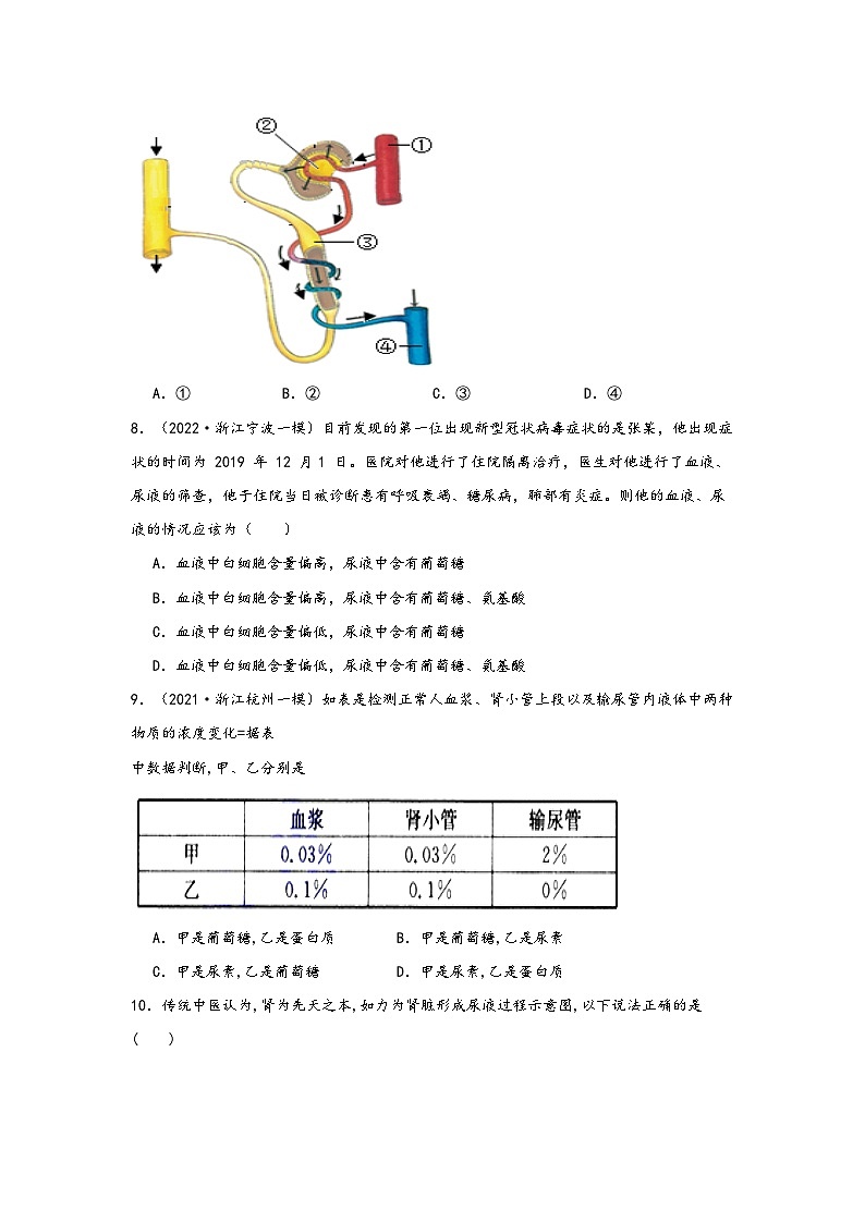 浙教版九年级科学上册讲练课堂4.5体内物质的动态平衡(练习)(原卷版+解析)03