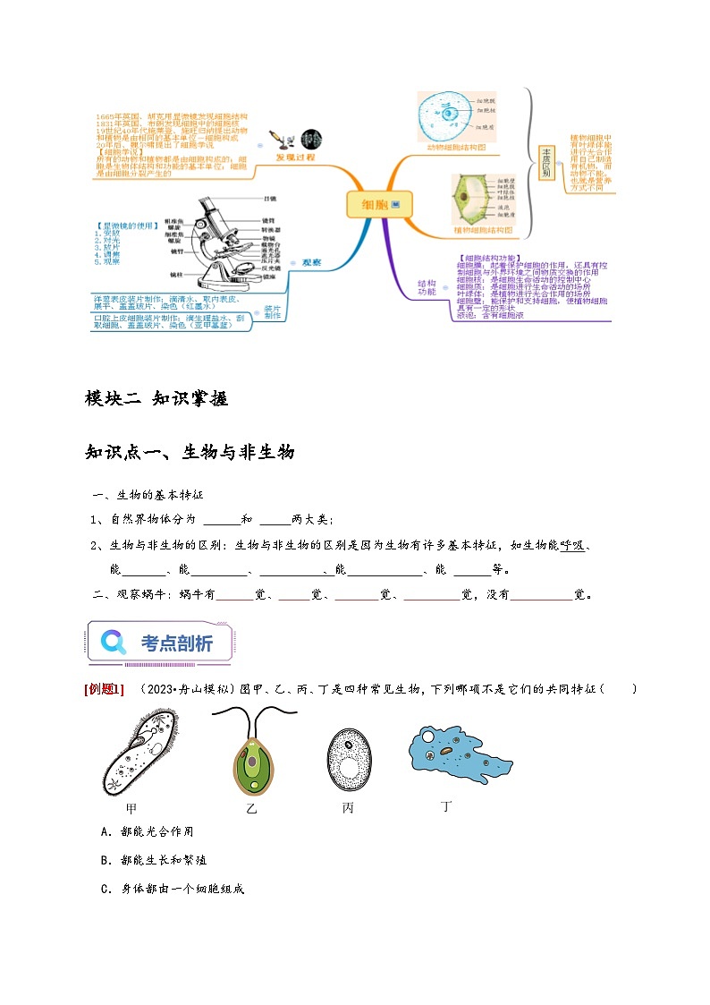 浙教版七年级科学上册讲练测2.1-2.2生物与非生物细胞(原卷版+解析)02