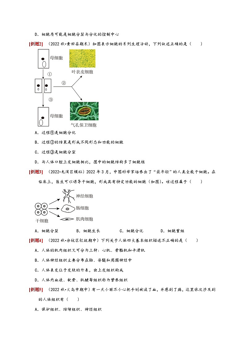 浙教版七年级科学上册讲练测2.3生物体的结构层次(原卷版+解析)03