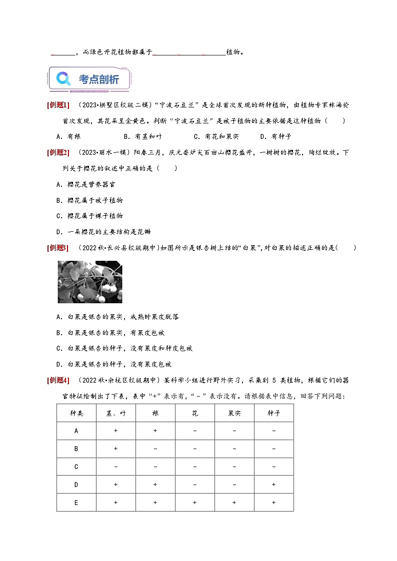 浙教版七年级科学上册讲练测2.5常见的植物(原卷版+解析)02