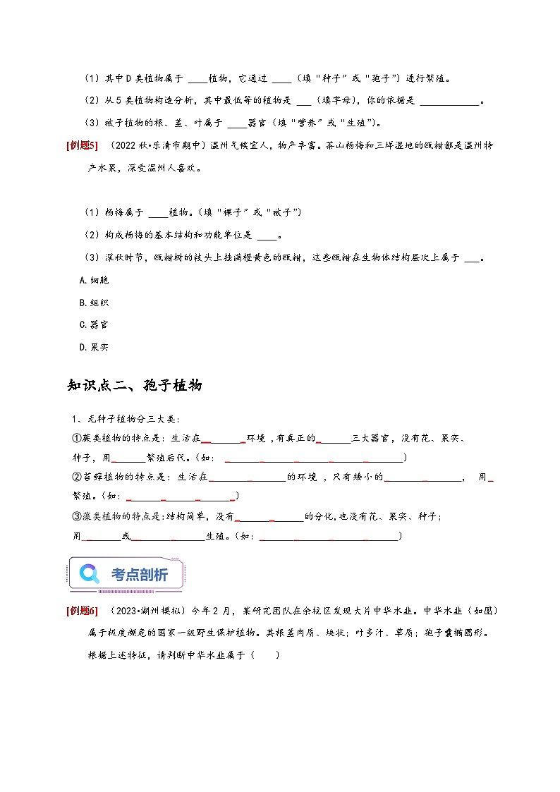 浙教版七年级科学上册讲练测2.5常见的植物(原卷版+解析)03