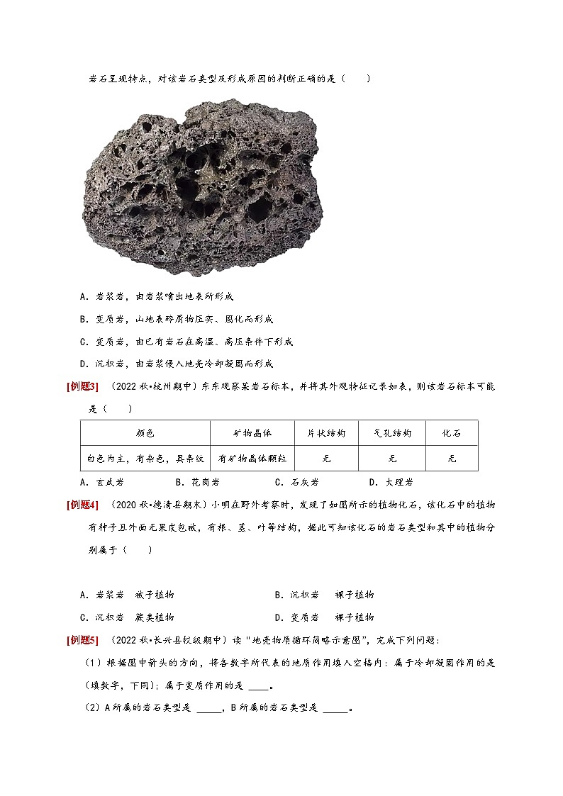 浙教版七年级科学上册讲练测3.3组成地壳的岩石(原卷版+解析)03
