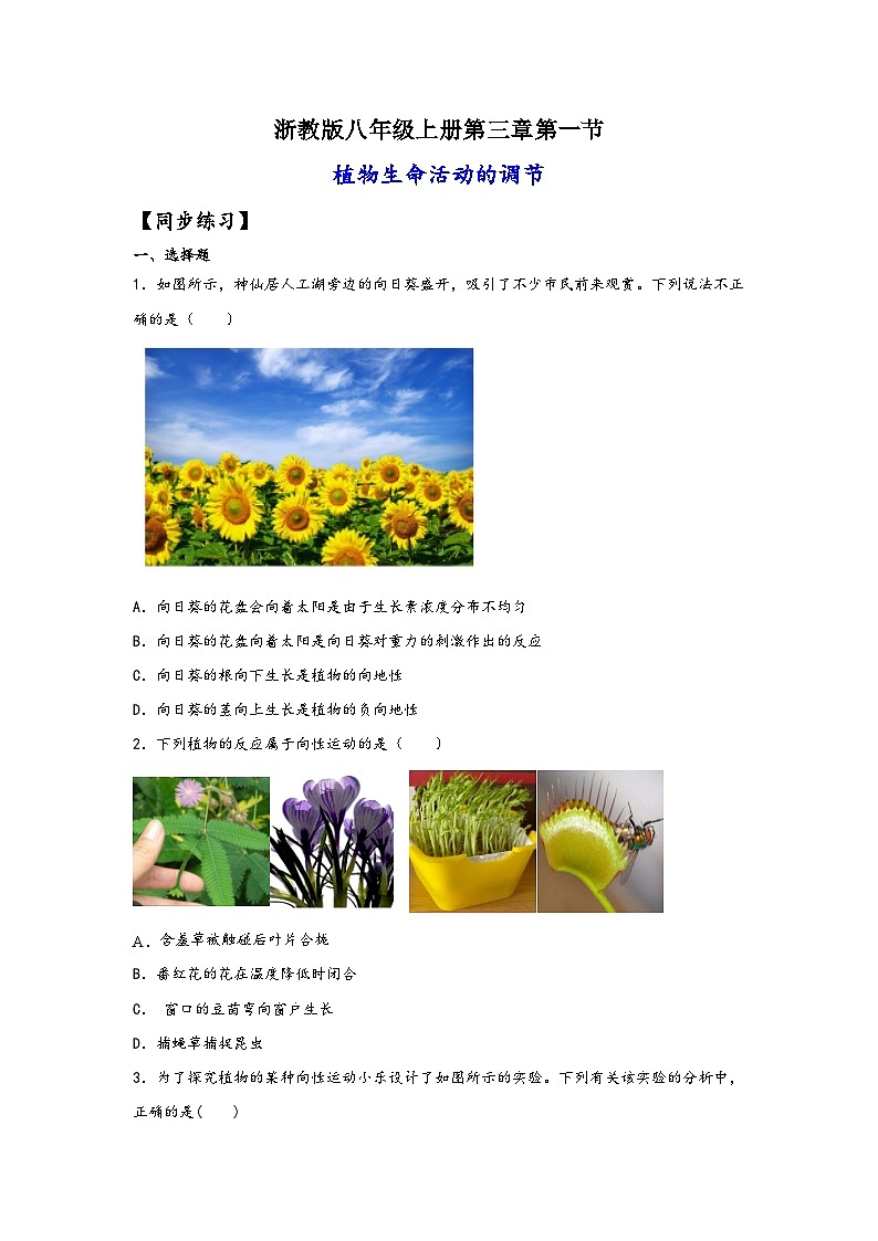 浙教版八年级上册科学讲练课堂3.1植物生命活动的调节(练习)(原卷版+解析)01