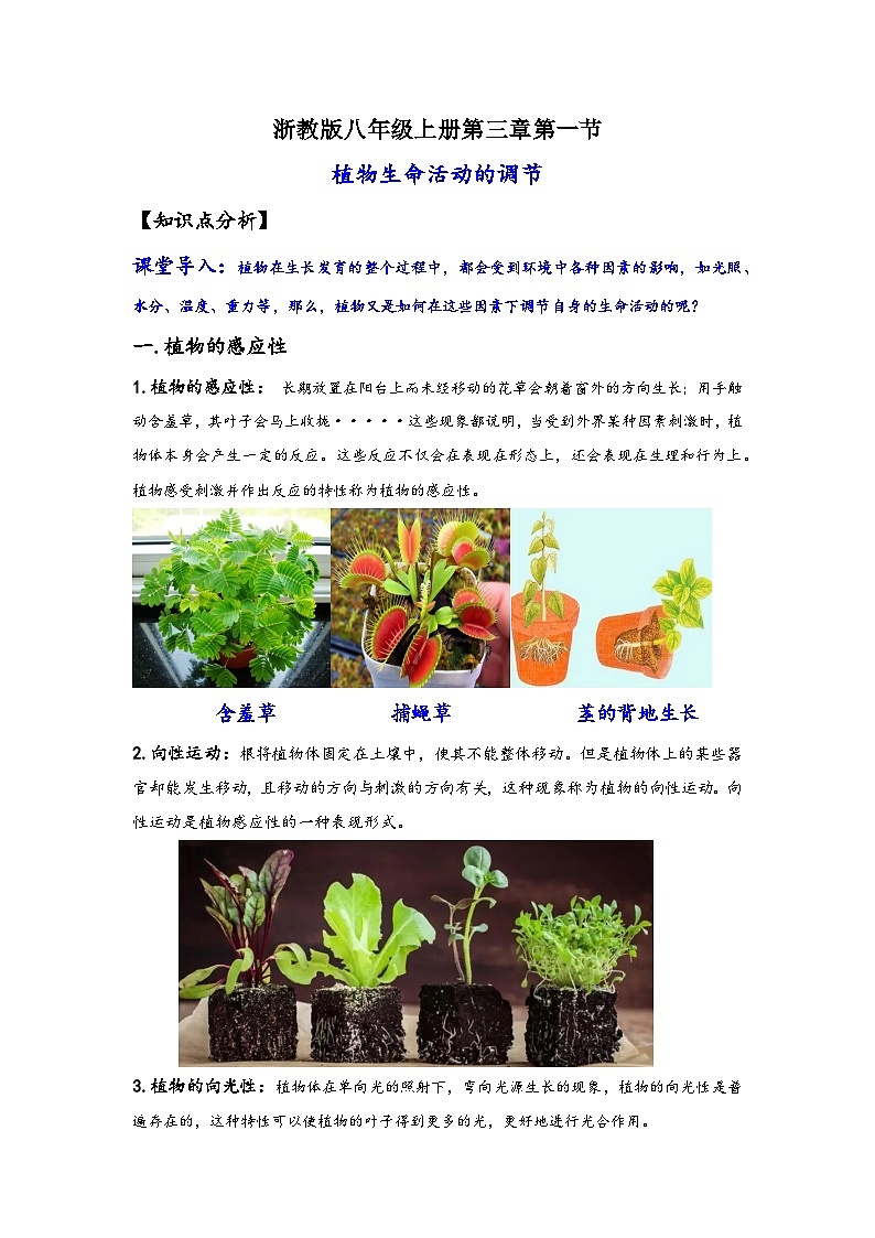 浙教版八年级上册科学讲练课堂3.1植物生命活动的调节(讲义)(原卷版+解析)01