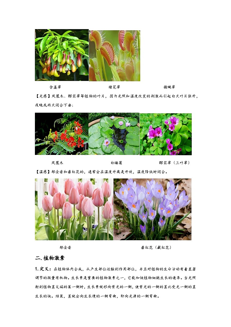 浙教版八年级上册科学讲练课堂3.1植物生命活动的调节(讲义)(原卷版+解析)03